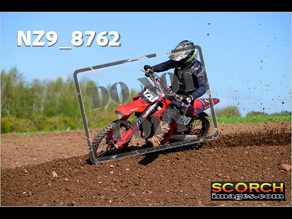 Experts-263
