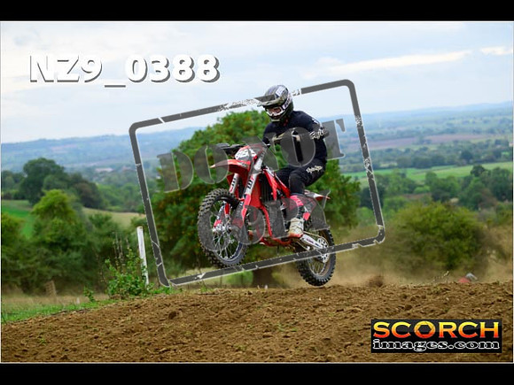 Experts-336