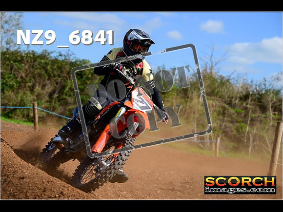 Experts-336
