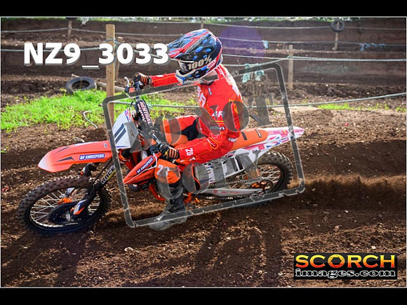 Experts-226