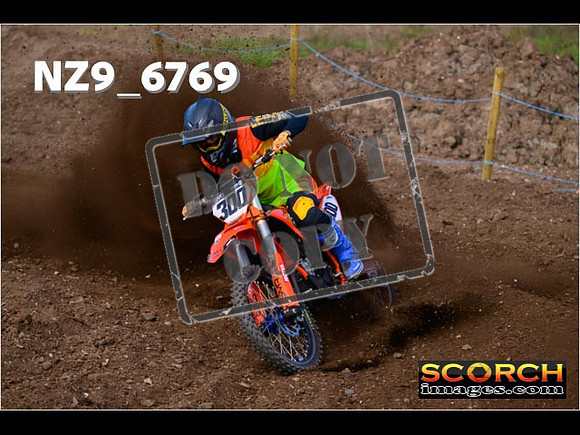 Experts-268