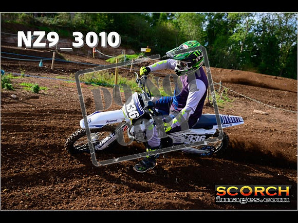 Experts-204