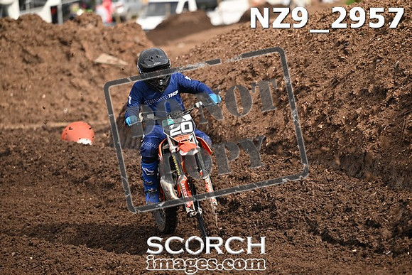 NZ9_2957