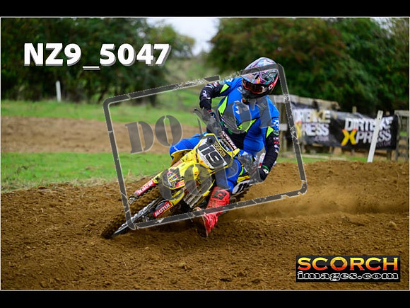 Experts-069