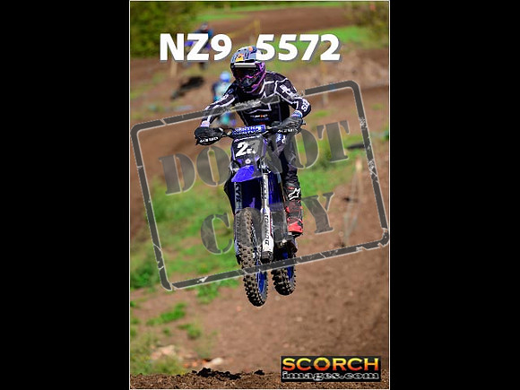 Inters-229