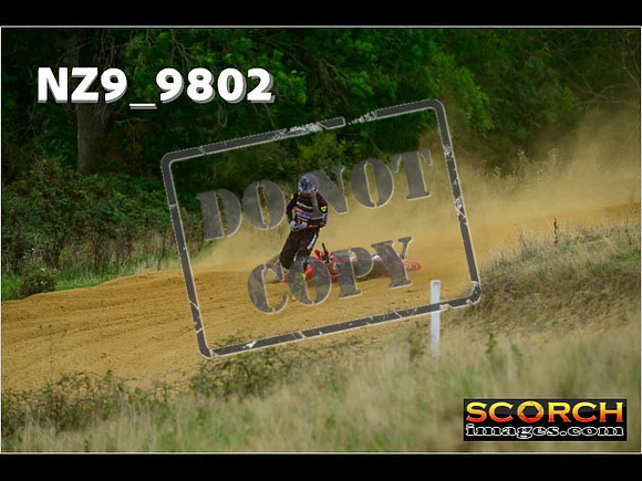 Experts-224