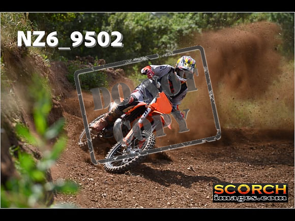 Experts-265