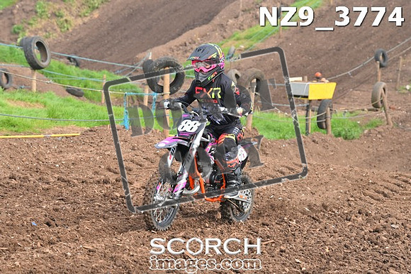 NZ9_3774