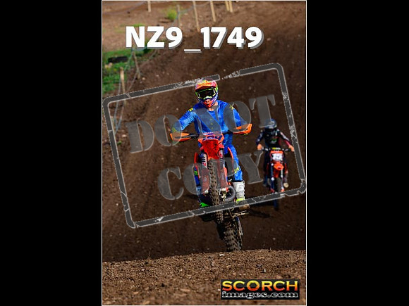 Experts-176
