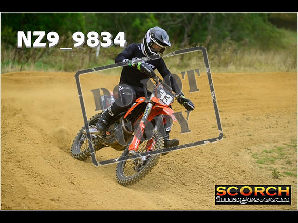 Experts-253