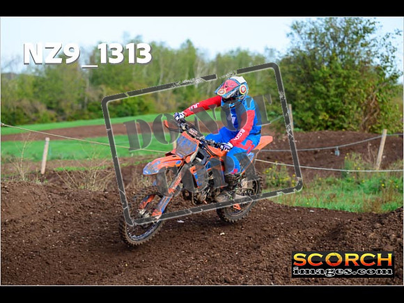 Experts-029