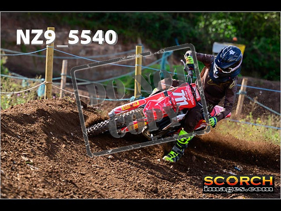 Experts-094