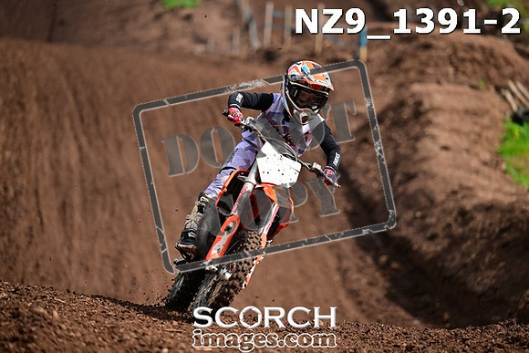 NZ9_1391-2
