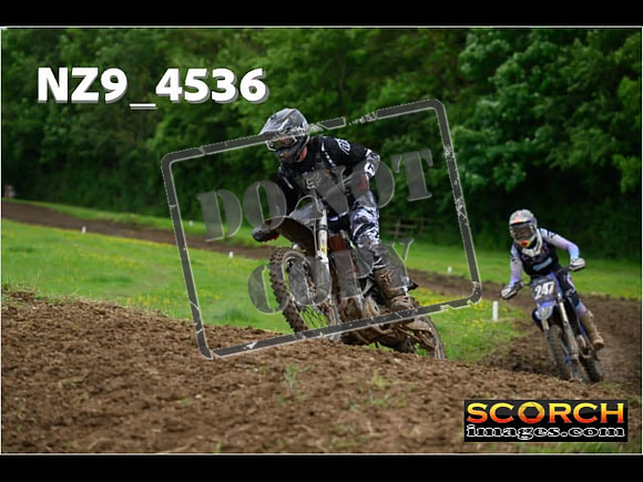 Experts-253