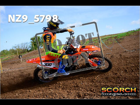 Experts-028