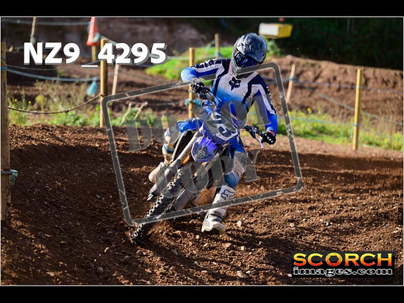 Experts-157