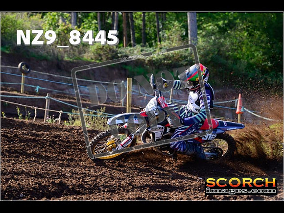 Experts-206