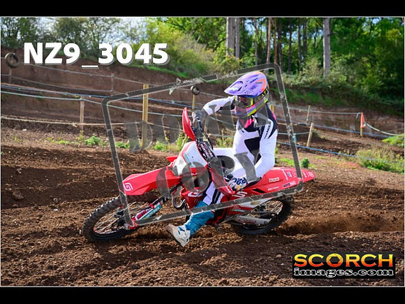 Experts-238