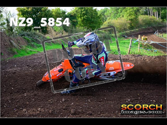 Experts-083