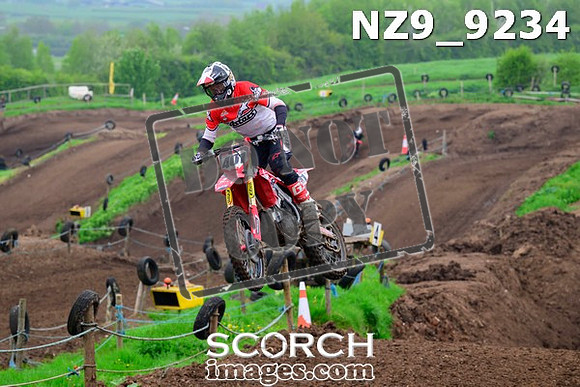 NZ9_9234