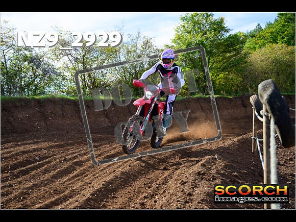 Experts-131