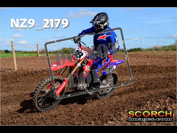 Experts-308