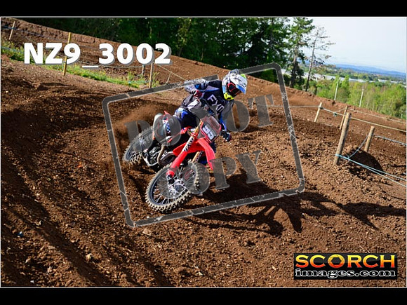Experts-196