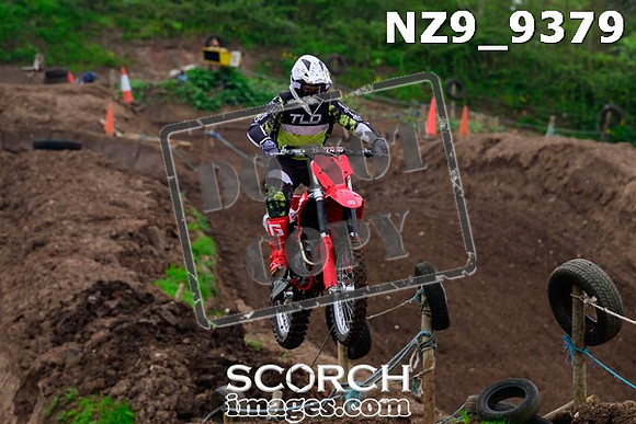 NZ9_9379