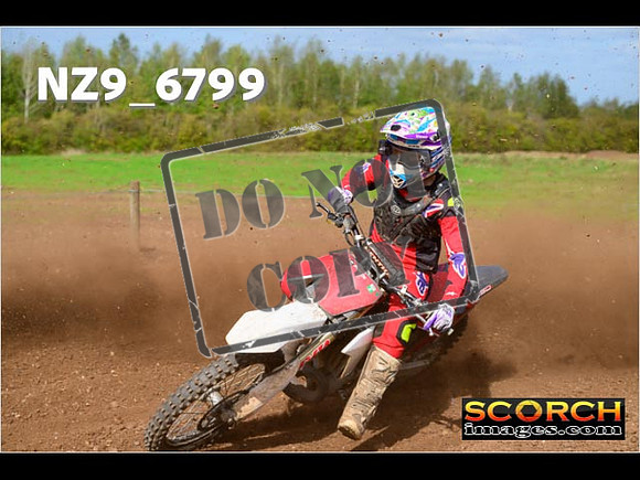 Experts-295