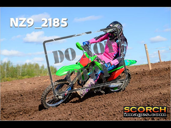 Experts-313