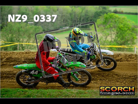 Experts-288