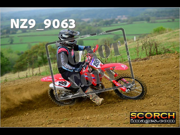 Experts-106