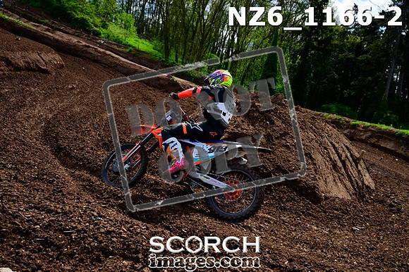 NZ6_1166-2