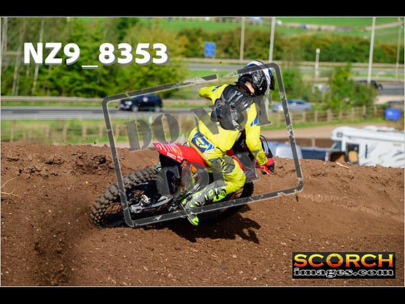 Experts-119