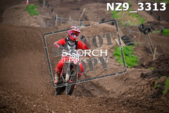 NZ9_3313
