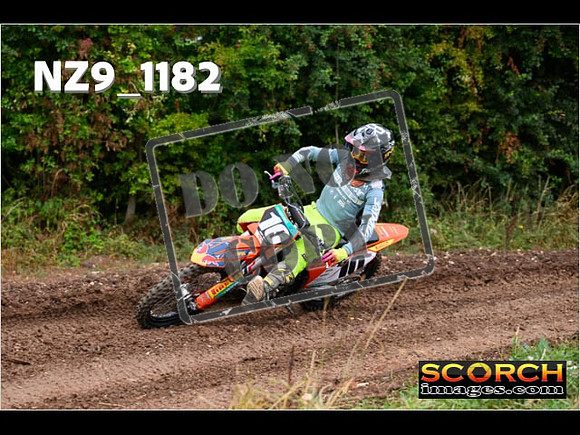 Experts-062