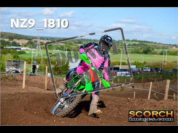 Experts-234