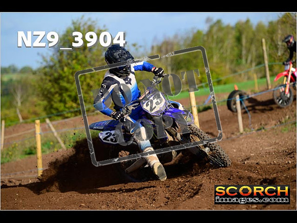 Experts-050