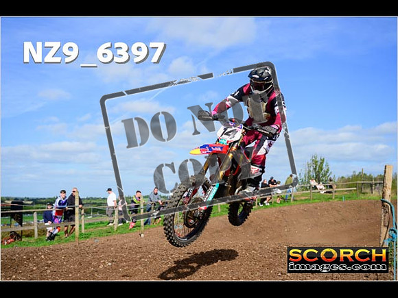Experts-229