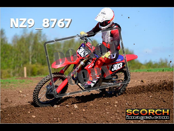 Experts-268