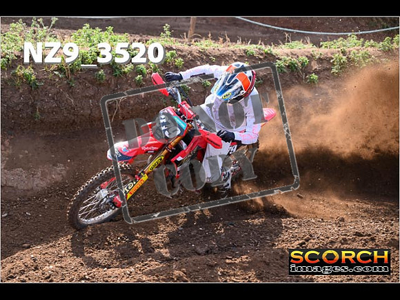 Experts-086