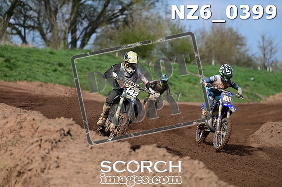 NZ6_0399