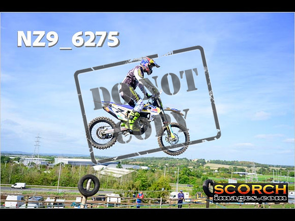 Experts-126