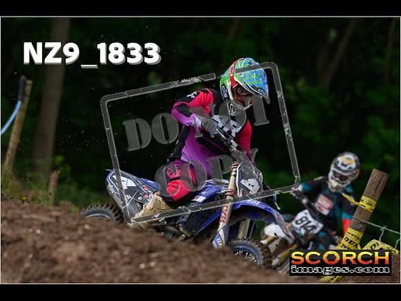 Experts-054