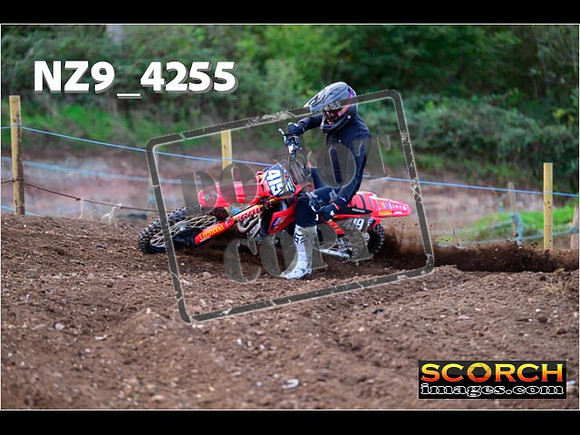 Experts-119