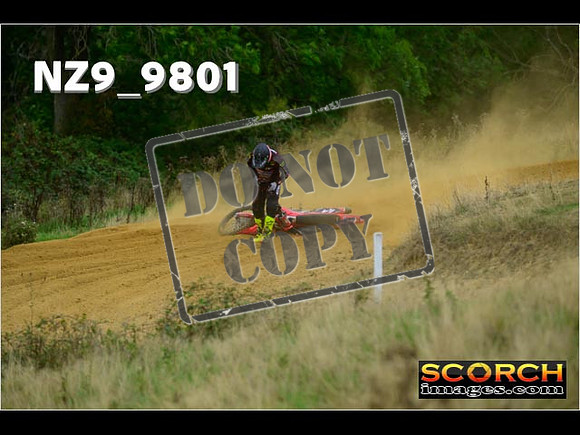 Experts-223