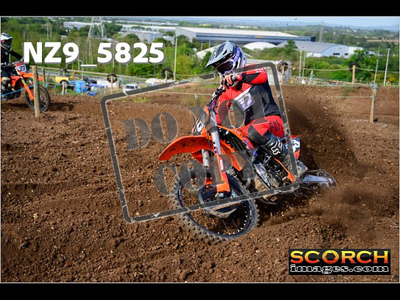 Experts-054