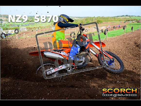 Experts-098