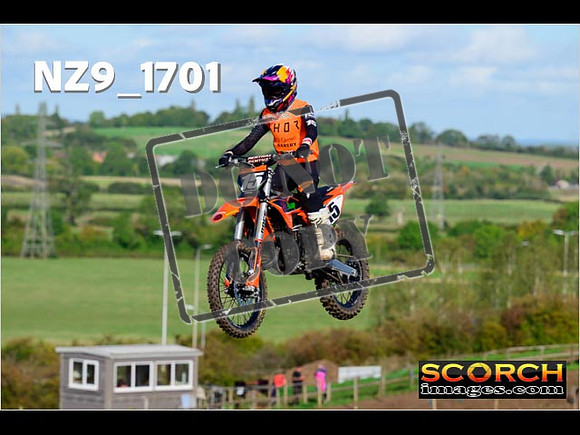 Experts-133