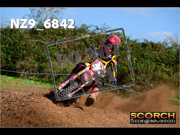 Experts-337